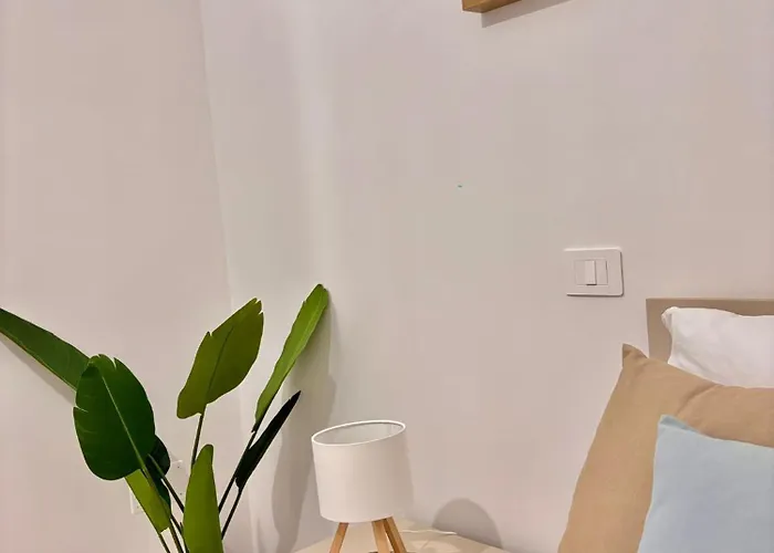 Harmonia * SantʼAntonio Abate